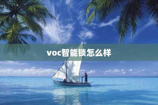 voc智能锁怎么样 voct5pro智能锁怎么样？