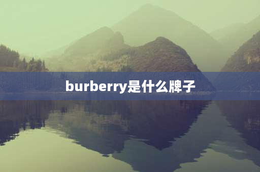 burberry是什么牌子 burberry品牌档次？