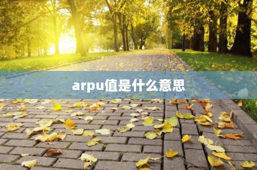 arpu值是什么意思 arpu值与客单价的区别是什么？