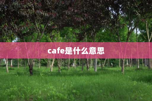 cafe是什么意思 法语cafe读音？