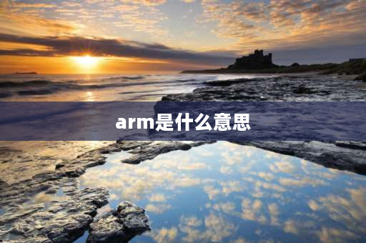 arm是什么意思 arm产品是什么意思？