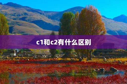 c1和c2有什么区别 C1和C2驾照有什么区别？