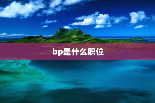 bp是什么职位 bp是什么职务？