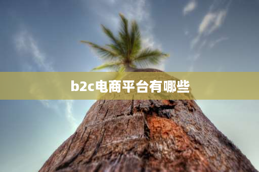 b2c电商平台有哪些 b2c有哪些电商平台？