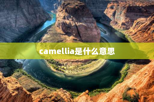 camellia是什么意思 camellia化妆品是什么品牌？