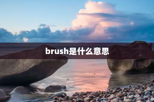 brush是什么意思 brush的第三人称单数形式是什么？