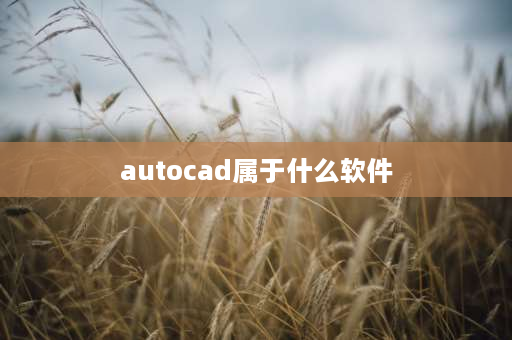 autocad属于什么软件 什么是CAD？