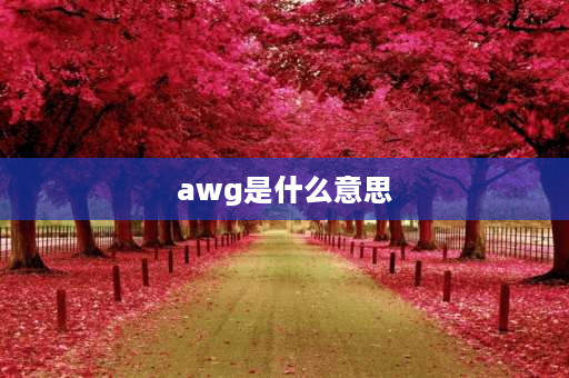 awg是什么意思 8awg是什么意思？