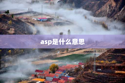 asp是什么意思 云服务asp是什么意思？