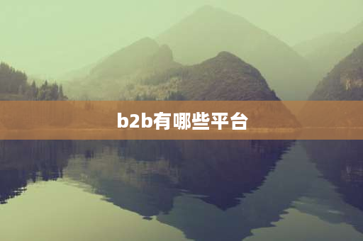 b2b有哪些平台 垂直型b2b平台有哪些？