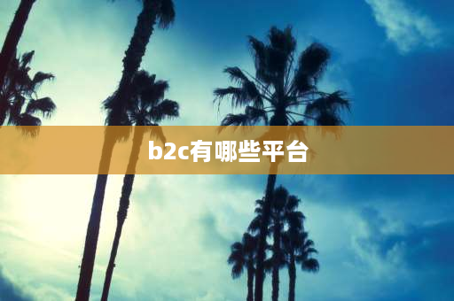 b2c有哪些平台 b2c交易平台有哪三种？