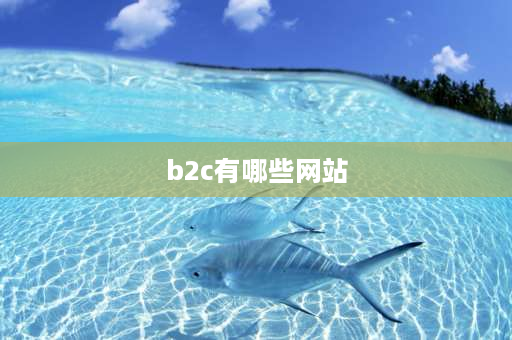 b2c有哪些网站 b2c电子商务网站的基本组成模块有哪些？