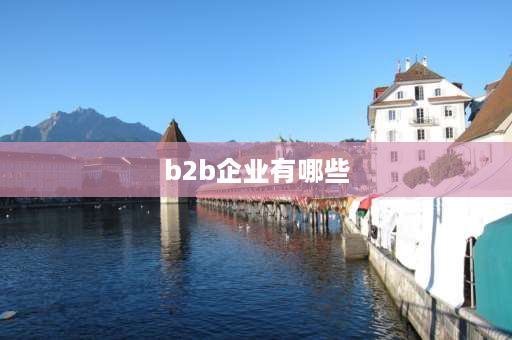 b2b企业有哪些 第三方B2B电子商务平台和企业B2B电子商务平台的比较分析？