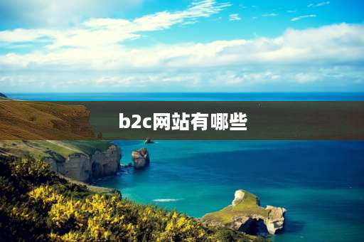 b2c网站有哪些 b2c模式有哪些企业？