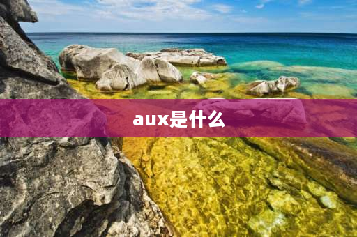 aux是什么 aux是什么插孔？