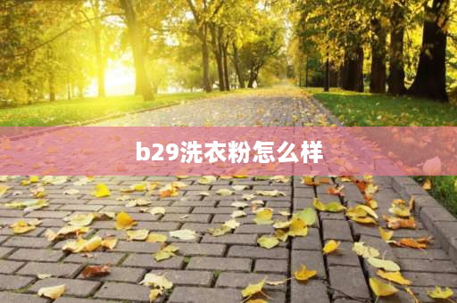 b29洗衣粉怎么样 海尔洗衣机xqg100-b29使用方法？