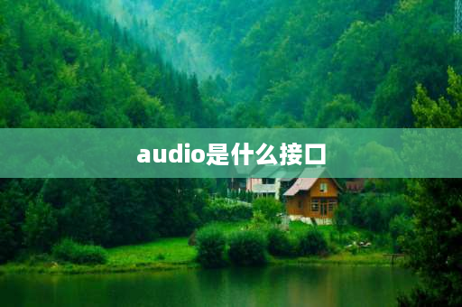 audio是什么接口 hdaudio是什么接口？