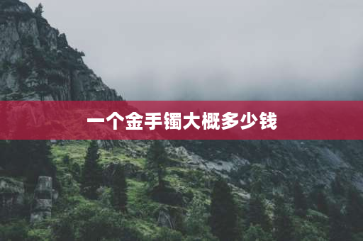 一个金手镯大概多少钱 玉镯和金镯买哪个贵？