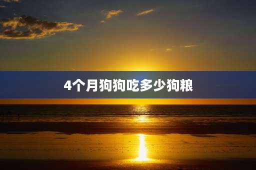 4个月狗狗吃多少狗粮 拉布拉多4个月幼犬一顿吃多少冠能狗粮？