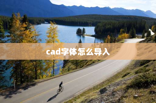 cad字体怎么导入 cad字体包怎么放进去？