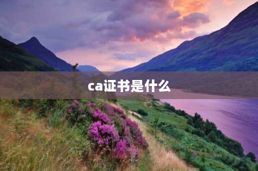 ca证书是什么 ca证书和数字证书的区别？