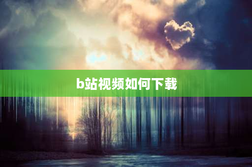 b站视频如何下载 b站的视频如何下载到本地？