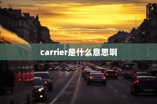 carrier是什么意思啊 苹果手机提示carrier？