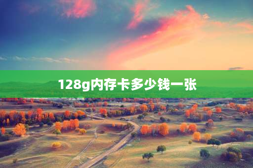 128g内存卡多少钱一张 昂科旗内存卡128g可不可以用？