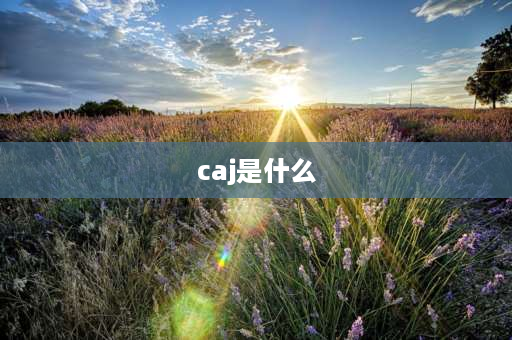 caj是什么 caj挖机哪个国家的？