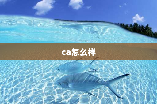 ca怎么样 ca后级功放系列怎么样？