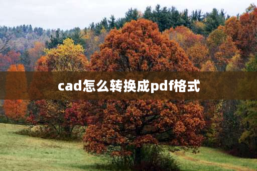 cad怎么转换成pdf格式 CAD怎么转为pdf？