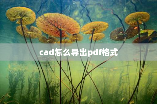 cad怎么导出pdf格式 cad怎么导成PDF？