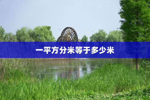 一平方分米等于多少米 一平方分米等于几个米？