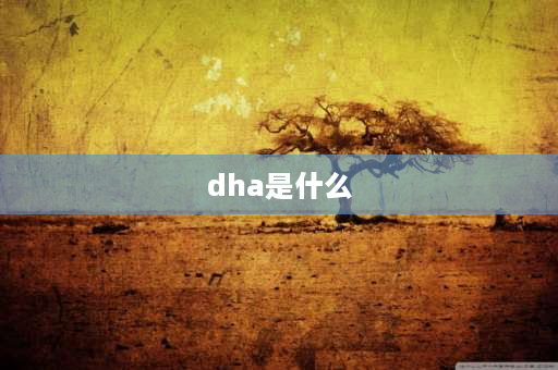 dha是什么 什么是DHA？