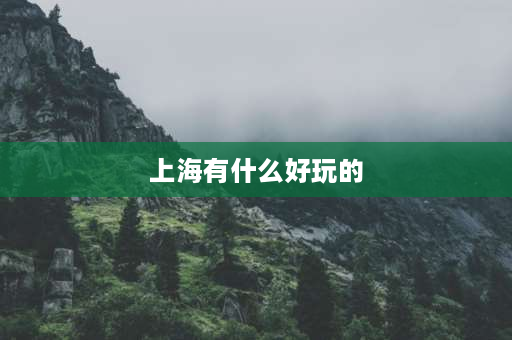 上海有什么好玩的 上海有哪些好玩的地方？