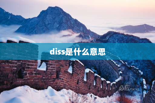 diss是什么意思 气瓶接头，CGA接头，DISS接头，什么样？