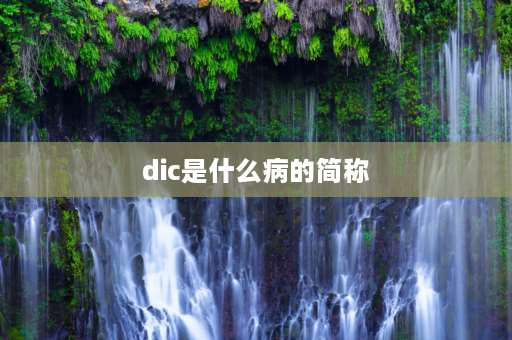 dic是什么病的简称 dictionary的缩写？