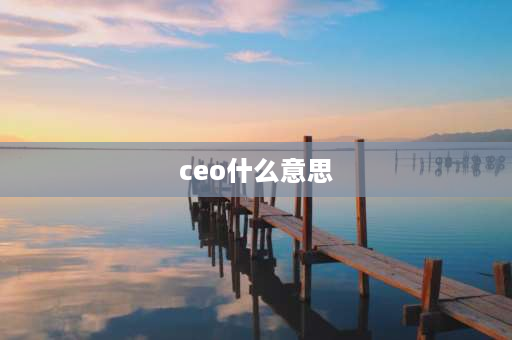 ceo什么意思 CEO这个词代表什么意思？