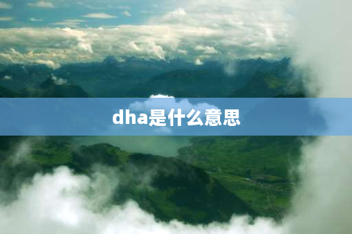 dha是什么意思 dha3a配方是什么意思？