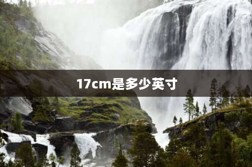 17cm是多少英寸 碗17厘米是几寸？