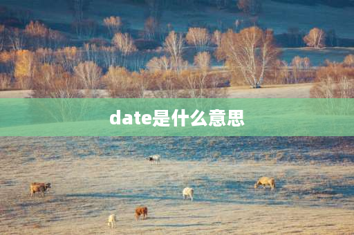 date是什么意思 DATE是什么意思？