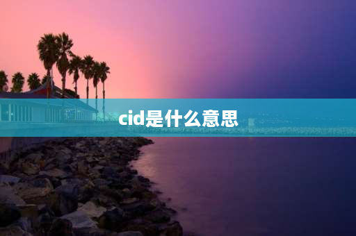 cid是什么意思 cid做后缀什么意思？