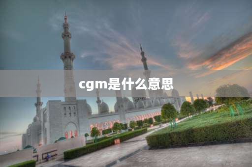 cgm是什么意思 国际海运里的MBL和HBL分别是什么意思？