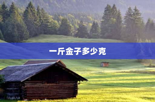 一斤金子多少克 一斤黄金等于多少克？ 