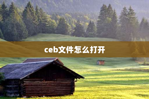 ceb文件怎么打开 ceb格式如何转换？