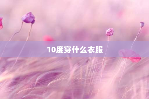 10度穿什么衣服 气温10度穿什么？