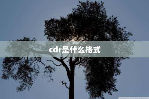 cdr是什么格式 CDR是什么文件格式，要什么软件才能打开？谢谢？