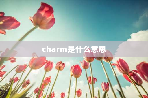 charm是什么意思 Charm是什么意思？