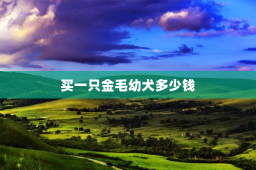 买一只金毛幼犬多少钱 养一只金毛每年需要花费多少钱？