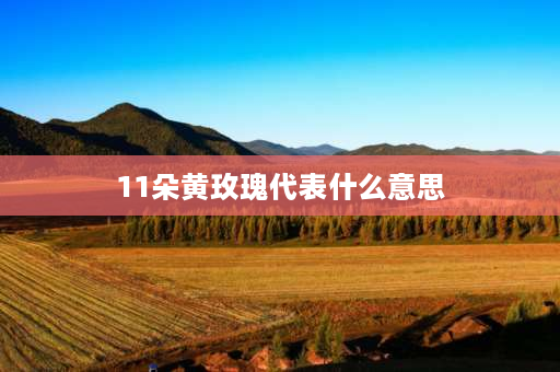 11朵黄玫瑰代表什么意思 11朵黄玫瑰代表什么？